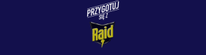 raid_01-06-2015_5